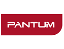 Chips for Pantum